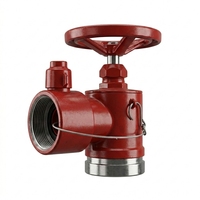 Hydrant d'incendie intérieur SN65 en acier inoxydable 304/316 pour la sécurité incendie des bâtiments intérieurs / Industrie incendie australienne / Réducteur de pression / Pompe à eau