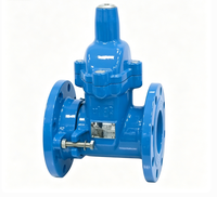 Vanne à opercule souple à structure télescopique avec verrouillage par cryptage, vanne frontale pour compteur d'eau, raccord à bride 2 pouces-16 pouces PN10