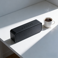 Haut-parleur portable mini de qualité supérieure 10W 1200mAh, lecteur stéréo USB, AUX, TF, TWS, caisson de basses sans fil pour la maison et l'extérieur