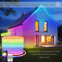 TTLL Neon Flex 02 Bande LED néon RGB étanche IP65 24V DC en silicone flexible avec garantie de 5 ans, intensité variable pour chambre à coucher