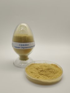 Fertilizzante biologico agricolo in polvere di seleniuro di chitosano di alta qualità cinese - Product Image 5