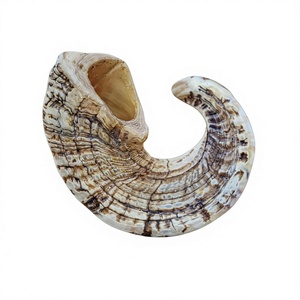 Shofar en corne de bélier naturelle, véritable, fait main, personnalisé AZ ENTERPRISES – Instrument en corne animale de haute qualité pour usages religieux et culturels - Product Image 1
