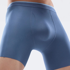 <b>Customized</b> Jacquard Logo <b>Boxer</b> Hommes Brief 3d Open Front Pouch Sport Fitness Men's Underwear <b>Boxer</b> Shorts for Men High Quality - Product Image 1