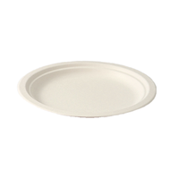Assiettes jetables de canne à sucre de qualité alimentaire canne à sucre pâte à papier de bambou Bio compostable plat dégradable pour la fête