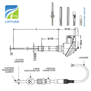 หัววัดอุณหภูมิแบบเซรามิกชนิด <span class=keywords><strong>R</strong></span> <span class=keywords><strong>S</strong></span> <span class=keywords><strong>B</strong></span> ความแม่นยำสูง ไพลิน-โรเดียม เทอร์โมคัปเปิล ยี่ห้อ Laiyuan - Product Image 6