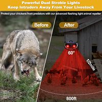 Répulsif solaire pour animaux Lumière clignotante extérieure étanche efficace pour chat oiseau renard mouffette Coyote Dissuasion pour poulailler