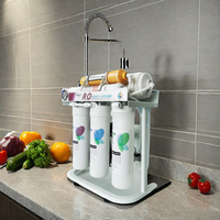 Purificateur d'eau par osmose inverse domestique de 500 gallons avec système manuel de filtration UV pour la purification des hôtels