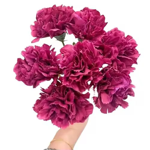 กุหลาบแดง