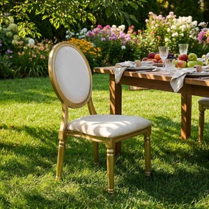 Upholstered Solid Wood Hotel Chair With Saber Legs And Foam Cushion Traditional Design Indoor Use - Product Image 3