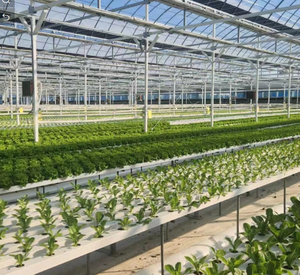 Tubes de culture agricoles à canal NFT Goulet hydroponique vertical Tuyaux de culture de légumes en PVC <span class=keywords><strong>Laitue</strong></span> et herbes aromatiques - Product Image 5