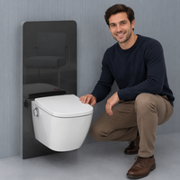 WC intelligents suspendus au mur certifiés CE, 220V, norme européenne, avec chasse cyclonique