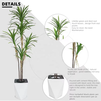 Oh Arts - Personalización de Árboles Artificiales de Dracaena de 210 cm, Dracaena Cochinchinensis, Dracaena Angustifolia