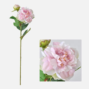 Pivoine en vrac rentable, solution pratique pour planificateur d'événements et <span class=keywords><strong>fleuriste</strong></span> - Product Image 3