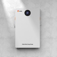 Système de stockage d'énergie solaire SRNE tout-en-un avec batterie hybride 48V 5kW 10kW pour maison