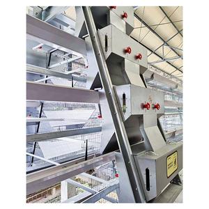 Zhuoyi A-Tipi 3/4 Katlı Tavuk Kafesi Yeni PVC+ABS Malzeme Otomatik Sistem 96/120/120/160 Kuş Kapasiteli Alt Yumurta Uzunluğu - Product Image 6