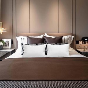 Bán buôn khách sạn ngỗng xuống lông giá rẻ bán buôn vịt lông gối đệm bên trong chèn khách sạn đệm ghế đệm - Product Image 3