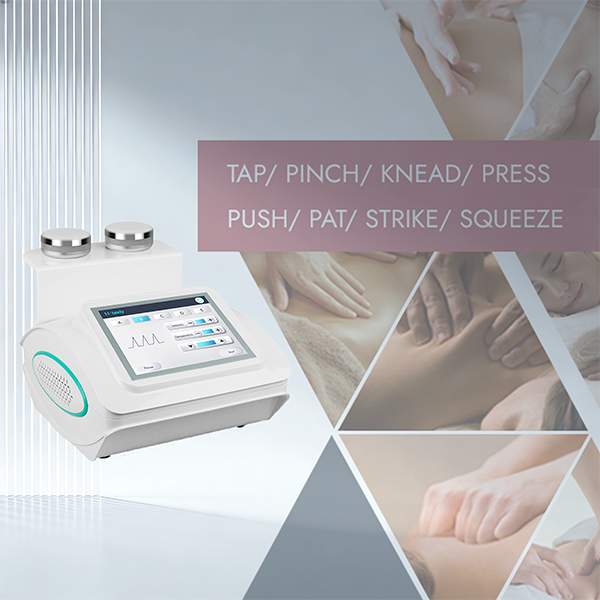 Synogal Multifunctional BIO electrotherapy body massage meridian health machine