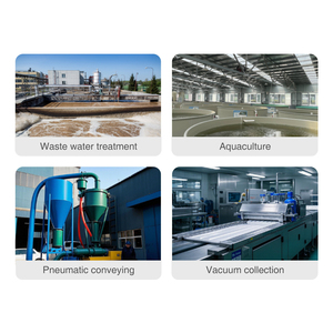 Potente Soplador de Aire Eléctrico de Hierro Fundido de Alta Presión, 0.7kw, 12000 RPM, Airmax Roots, Motor Monofásico de 5hp - Product Image 3