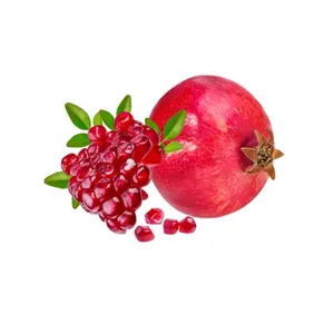 Wholesale Fruit Extract Pure Spray Drying Pomegranate Juice Powder 2024 New Idea China Product