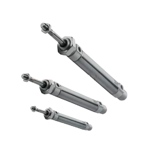 Cilindro DSN-10-55-<span class=keywords><strong>P</strong></span> Fest DSN1055 - Product Image 1