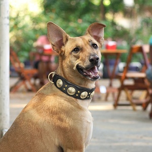 Collar de perro de cuero auténtico Collar de perro grande con tachuelas de pinchos genuino ajustable para perros medianos y grandes - Product Image 5
