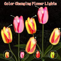 Lampes solaires de jardin en acier inoxydable de style farmhouse KAIOLED, lot de 2, LED blanc chaud, lampes à piquet étanches pour usage extérieur