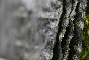 Médicaments pour sushi <span class=keywords><strong>nori</strong></span>, 5 pièces, <span class=keywords><strong>prix</strong></span> en gros - Product Image 2