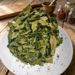 Cinnamomum Camphora (Feuilles de Camphre et d'Eucalyptus Séchées) Qualité Supérieure, Traitement Brut, Pureté 99%, Sans Pesticides, Pour Consommation Humaine, Vrac - Product Image 3