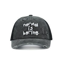 Gorra de alta calidad unisex, suave, de 6 paneles, de algodón lavado, con logotipo bordado, logotipo y color personalizados, para uso casual, estilo papá.