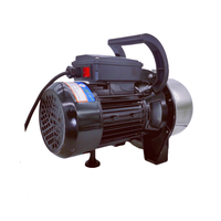 Pompe à Jet d'eau de jardin 1500w, petite pompe à Jet en acier inoxydable économe en énergie pour l'alimentation en eau domestique
