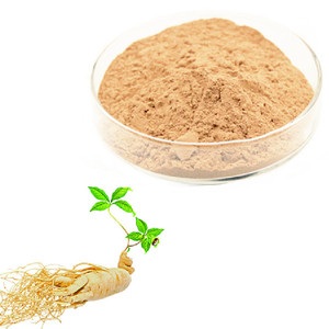 Kualitas tinggi bubuk akar Ginseng Panax 5%-80% bubuk ekstrak Ginseng Ginsenosides - Product Image 2
