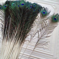 Großäugige Natürliche Indische 70-80cm Lange Große Pfauenfedern für Weihnachten Karnevalskostüme DIY-Dekoration
