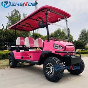 Custom Pink Electric Golf Cart 48V Battery Sightseeing Off-Road Vehicle - Product Image 5