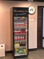 Réfrigérateur vertical pour boissons avec porte en verre de 300 L |   Réfrigérateur à boissons commercial |   Prix d'usine pour la vente au détail et les bars