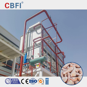Rapid and Pre-Cooling Projects Large Cold Storage With a Minimum Capacity of 500 Cubic Meters