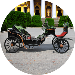 Wholesale Luxury Four-Wheel Royal Electric Carriage Elegant Sightseeing Royal Horse Carriage-<b>Special</b> <b>Transportation</b> - Product Image 6