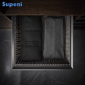 Cesta Deslizante para <span class=keywords><strong>Armario</strong></span> de Aluminio y Ratán ABS, Organizador Extraíble que Ahorra Espacio, Duradero para <span class=keywords><strong>Armario</strong></span> de Dormitorio - Product Image 2
