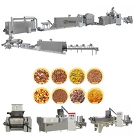 Ligne de production de céréales de petit-déjeuner extrudées à double vis, prix avantageux, écologique, haute efficacité, moteur 304