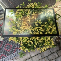 Vidrio antirreflejo AG de 2223.7 * 1291.8 * 3 mm, vidrio para ventanas, diseñado específicamente para máquinas publicitarias planas, personalizable.