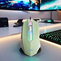 Souris de jeu USB filaire et sans fil Style ergonomique pour application PC Certifié ROHS compatible OEM et ODM