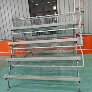 Fournisseur chinois de cages à <span class=keywords><strong>poules</strong></span> à 4 niveaux en acier galvanisé Q235, système d'abreuvement automatique, équipement d'élevage avicole, <span class=keywords><strong>poules</strong></span> <span class=keywords><strong>pondeuses</strong></span> - Product Image 4