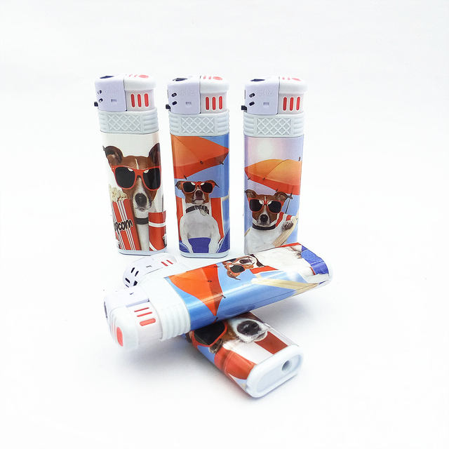 Cheap Flame Plastic Refillable Windproof Lighter