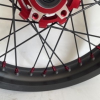 Kit de roues à rayons noirs Performance Straight Pull 16x2.15 avec moyeu arrière rouge et nipples rouges pour pièces de vélo Surron Light Bee