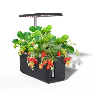 smart indoor home use mini herb planter garden kit vegetables growing hydroponic set with water pump Led grow Light