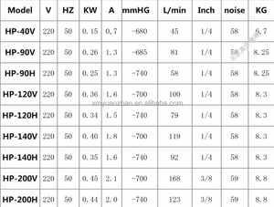 Airtech真空ポンプHP-40V FedExまたはDHLその他の電気機器 - Product Image 2