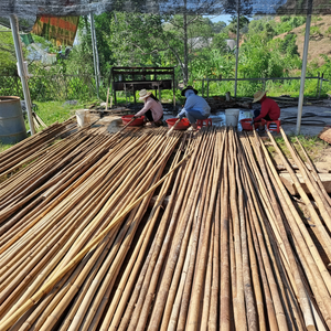 เสาไม้ไผ่ธรรมชาติคุณภาพสูงสำหรับจัดสวนและรองรับการเกษตร พร้อมราคาโรงงานที่แข่งขันได้ - Product Image 1