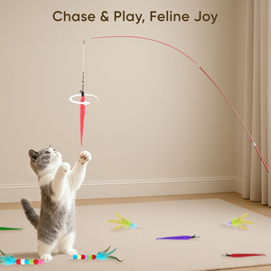 Jouet interactif amusant pour chat, baguette rétractable en bois bleu violet avec plumes de poulet, pour jeu en intérieur - Product Image 6