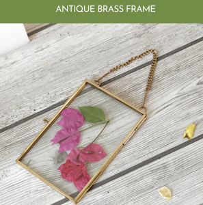 Photo <b>Frame</b> tabletop Metal & Glass <b>for</b> Wall Decor Golden Color Glass <b>Frame</b> Classic Metal Wall Hanging <b>living</b> <b>Room</b> Photo <b>Frames</b> - Product Image 6