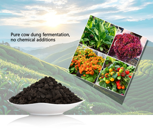 <span class=keywords><strong>Engrais</strong></span> organique de bouse de vache pour fleurs <span class=keywords><strong>Plantes</strong></span> d'intérieur Succulentes Promotion de la santé Nutrition équilibrée - Product Image 3