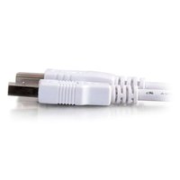 Kabel Printer USB 2.0 Tipe A ke B Male Berlapis Nikel Tembaga Murni PVC Putih untuk Komputer Scanner